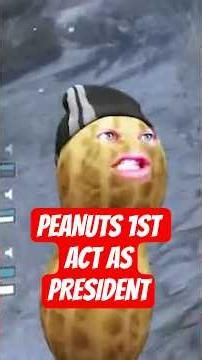 PEANUTS FIRST ACT AS PRESIDENT ‪@TheBurntPeanut‬