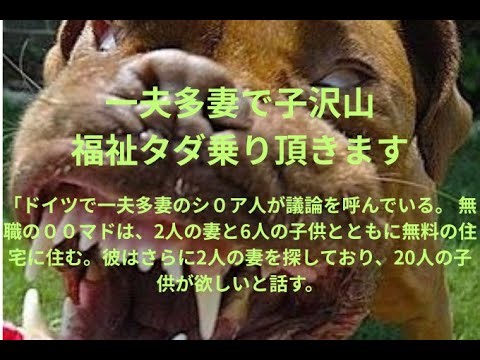 【３】欧州の現状と歴史、一夫多妻で子ども作りまくり福祉タダ乗り【アハハおほほ~】　＃一夫多妻、＃子沢山福祉タダ乗り、＃欧州の現状と歴史