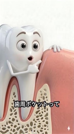 【歯周病と歯周ポケット】