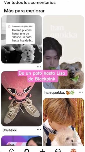 De un pato hasta Lisa de Blackpink #kpop