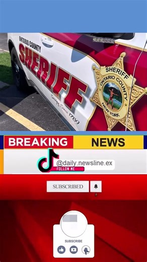 4 Dead Cats Found in Freezer, 17 Live Animals Rescued After ‘Unsanitary’ Home Complaint