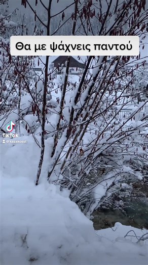 Stelios (@stelios1353)’s videos with Originalton - Stelios