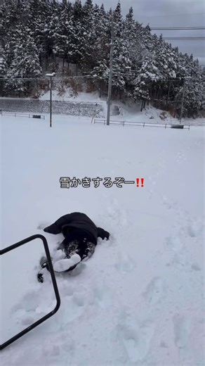 きらり形成外科・お肌クリニック on Instagram: "こんにちは✨ きらり形成外科・お肌クリニックです！ ⁡ 今回は受付の1日を撮影してみました👀✨ ⁡ いいね・コメントお待ちしております💖💖 𓐄 𓐄 𓐄 𓐄 𓐄 𓐄 𓐄 𓐄 𓐄 𓐄 𓐄 𓐄 𓐄 𓐄 𓐄 𓐄 𓐄 𓐄 📍きらり形成外科・お肌クリニック 〒690-0045 島根県松江市乃白町2249 ☎0852-61-3660 🕐月〜水・金 9:00～12:00 / 13:00〜17:30 🕐土 9:00〜12:00 ※当院は予約制となっております。 𓐄 𓐄 𓐄 𓐄 𓐄 𓐄 𓐄 𓐄 𓐄 𓐄 𓐄 𓐄 𓐄 𓐄 𓐄 𓐄 𓐄 𓐄 #きらり形成外科お肌クリニック #島根県 #松江市 #形成外科 #皮膚科"