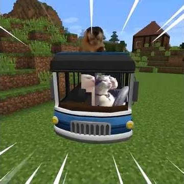 Meme Animals Cats and Dogs part 49 in Minecraft ( shorts version )