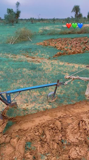 Traditional Plowing Techniques in Rural Agriculture