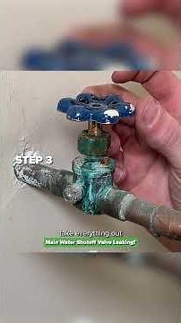 Main Water Shutoff Valve Leaking?