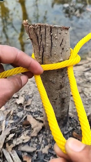 easy way to tie rope to a tree trunk #knot #tipspraktis #snake #dothingsyoudontwanttodo #rope