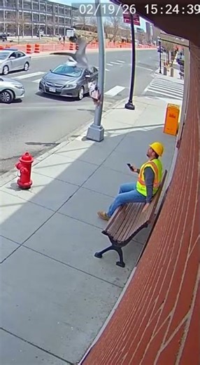 Seagull Steals Lunch, Causes MASSIVE Fire Hydrant Explosion!