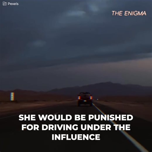 - It’s like puke or something It is puke - I’mma throw up * She was driving erratically. And ended up being pulled over. The officers understood she was a danger on the road. Until, suddenly, things got worse. However, this woman had a history. And decided to confess to the police. | The Enigma