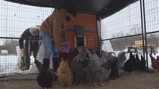 Middletown farmer speaks out about properly caring for animals in cold weather after visit from officers