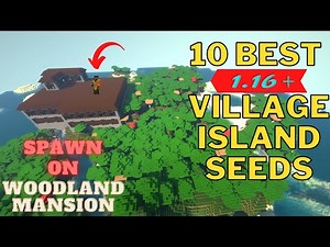 Top 10 Best Minecraft Island Seed 1.16 (Village Spawn Seed)