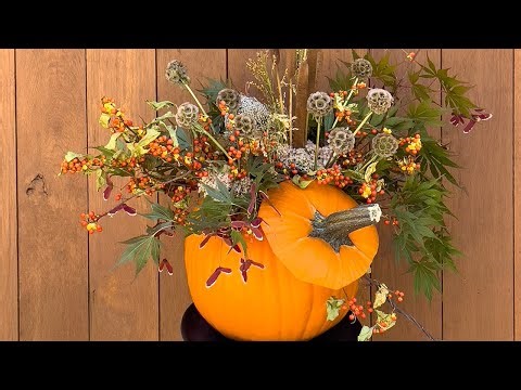 Harvest Orange Pumpkin Design