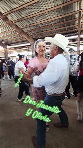 Pulga de Alamo Texas #shorts #shortvideo #trending #viral #spotifyclone #humor