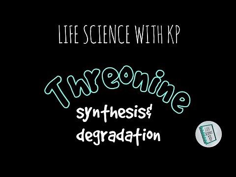 THREONINE:Synthesis And Degradation .Vlog 4