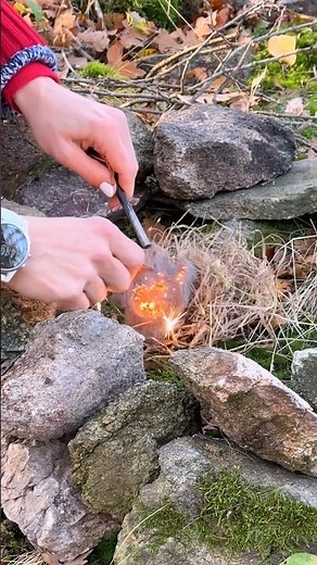 How to Start a Fire from Scratch 🔥 Bushcraft Survival
