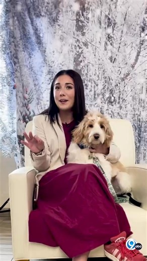 NewsChannel 9's Victoria Kellogg sat down with a furry friend formerly known as Cinnamon from Helping Hounds Dog Rescue in Syracuse ahead of her Puppy Bowl appearance on Sunday! | NewsChannel 9