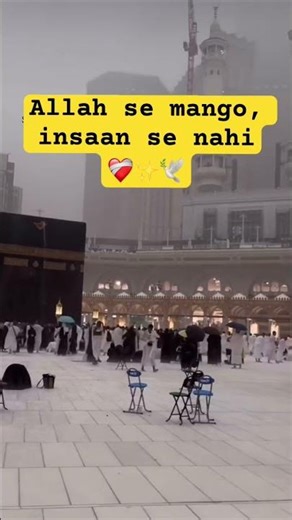 Allah se mango, insaan se nahi ❤️‍🩹✨🕊️ || #shortsfeed #shortfeed