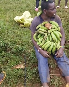 16K views · 426 reactions | Byona mubikole but remember abantu bakoowu!! | Mbu | Facebook