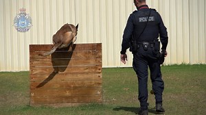 34K views · 1.4K reactions | WA Police held a special graduation...