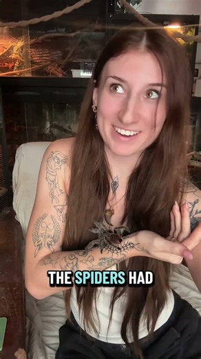 How to cure arachnophobia