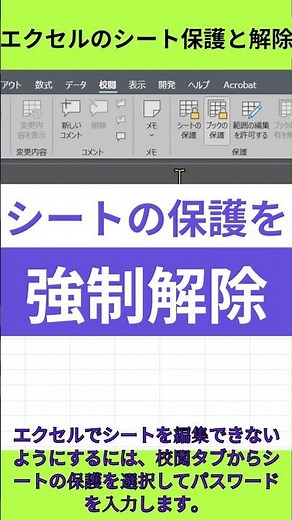 エクセルのシートの保護のパスワードを無効化 シート保護を強制解除する方法 #エクセル #excel #業務効率化 #事務職