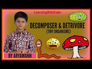 DECOMPOSER & DETRIVORE: TINY ORGANISMS BY ARYAMANN, Science Lesson
