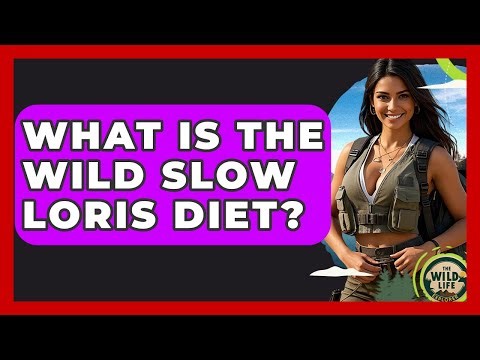 What Is The Wild Slow Loris Diet? - The Wild Life Explorer