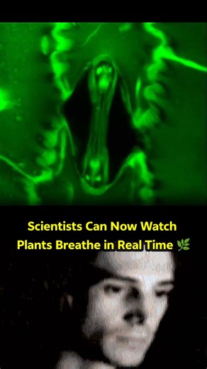 Scientists Can Now Watch Plants Breathe in Real Time 🌿 #shorts #plants