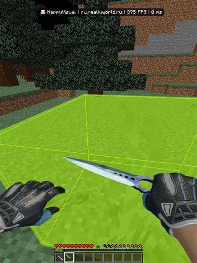 Exploring the World of Minecraft with ReallyWorld