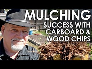How to Mulch with Cardboard & Wood Mulch || Black Gumbo