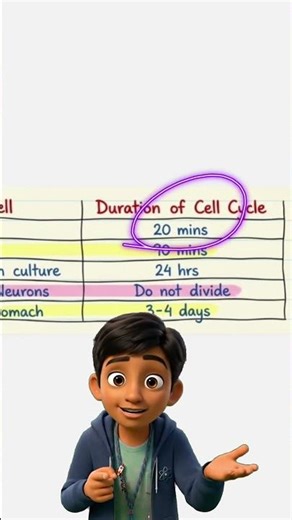 Cell Cycle and Cell division #biology #class11biology #neet