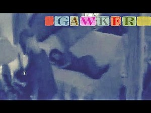 Jury to see nine seconds of actual sex between Hulk Hogan and friend’s wife in sex tape trial