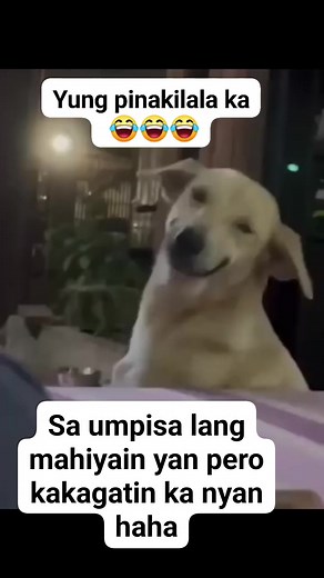 Shy type yarn? | Jay An Mendigorin