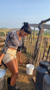 Bom trabalho pra vocês | Luciane P Silva