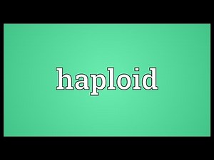 Haploid Meaning