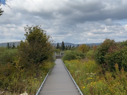 3 comments | West Virginia Nature Conservancy on Reels | Facebook