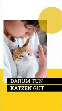 Why cats measurably relax us and sometimes calm us down better than humans.