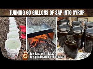 TURNING 60 GALLONS OF SAP INTO MAPLE SYRUP | How long will it take & how much syrup will it make?