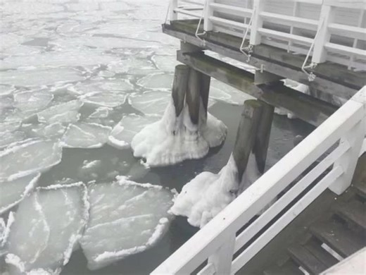 Elevator Man by Oingo Boingo - Lyrics and Insights