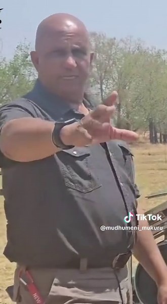 Once the chickens move on, cattle graze the same area, pressing seeds into the soil with their hooves and benefiting from the nitrogen-rich chicken manure. The chicken manure not only enriches the soil but also improves the nutritional quality of the pasture, providing cattle with more protein-rich forage. This sequential grazing boosts soil fertility, stimulates microbial activity, promotes healthy pasture growth, supports natural nutrient cycling, and enhances the overall health and productivi