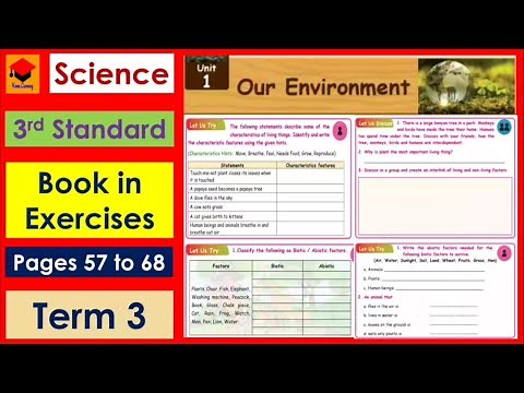 3rd Std- Science-Lesson 1- Our Environment- Term 3- Book in Exercises- Pages 58 to 68- Samacheer.