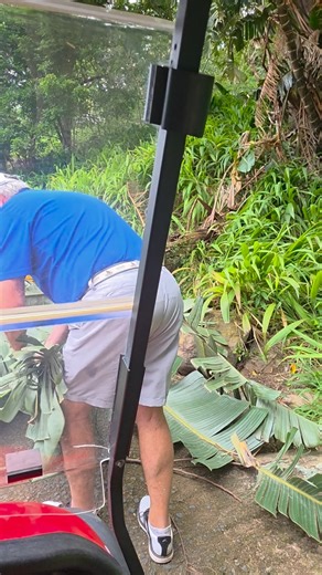 Pat Symcox on Instagram: "So as we come driving along up to the short 4th at @selbornegolf we find a tree that has fallen over on the cart path...out jumps my partner @_grahambird and together with @alastairhewitt and Rob they make work of the task. Proper commitment this...🤣🤣"