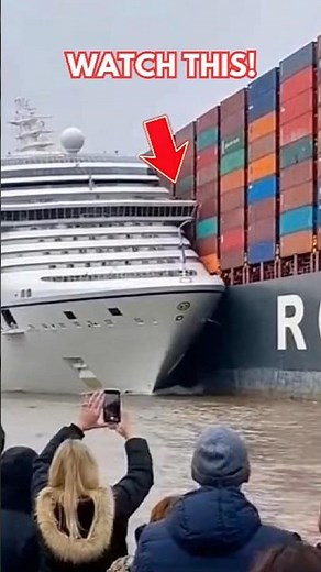 Cruise Ship Slams Into Container Vessel, Nearly Capsizes at Crowded Waterfront