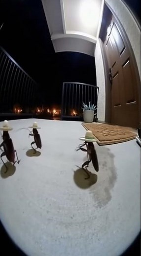 Cockroaches on the Dance Floor! | Shanzay AI World