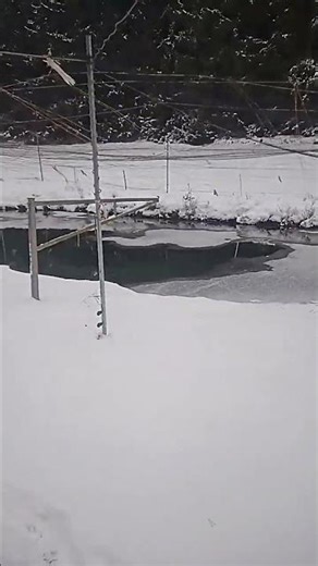 Der Winter hat uns fest im Griff / #fishing Forellen füttern