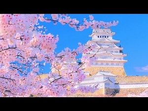 4K映像 桜の名所「姫路城の桜Ⅰ 三の丸」Japan Cherry Blossom Himeji Castle 世界文化遺産 日本の四季 春 姫路市 4月上旬 お花見 絶景自然風景観光旅行 8K撮影
