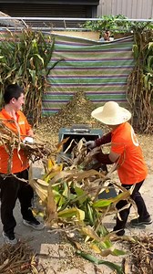 144K views · 772 reactions | Process 15 Tons of Chaff Per Hour, Enhance Feed Processing Efficiency.#chaffcutter #machinery #farmer #dawnagro The 136th Session of the China Import and Export Fair We sincerely invite you to visit the Canton Fair and stop by the DAWNAGRO booth. October 15-19, 2024. The countdown to the Canton Fair has begun. We look forward to seeing you! | Dawn Agro Machinery | Facebook