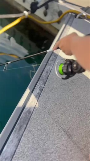 Fishing Adventures in New Zealand