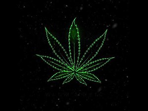 Q Money - Work ( Official music video) mp3 bass booster