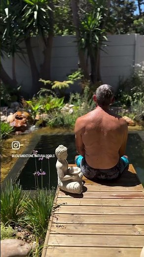 Natural Plunge Pool Transformation